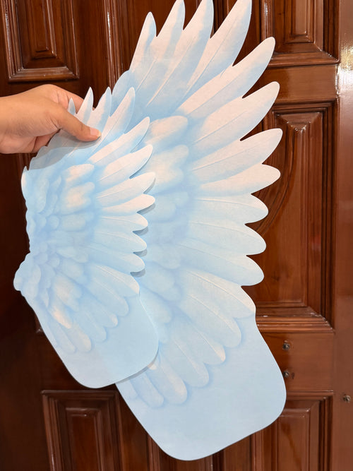 Angel Wings Bouquet Wraps|20 WINGS